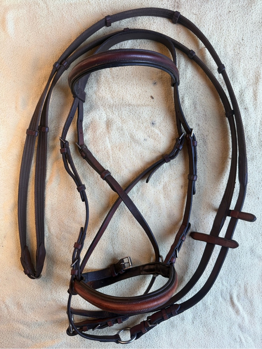 Bitless bridle and reins